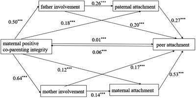 Maternal positive coparenting and adolescent peer attachment: Chain intermediary role of parental involvement and parent–child attachment